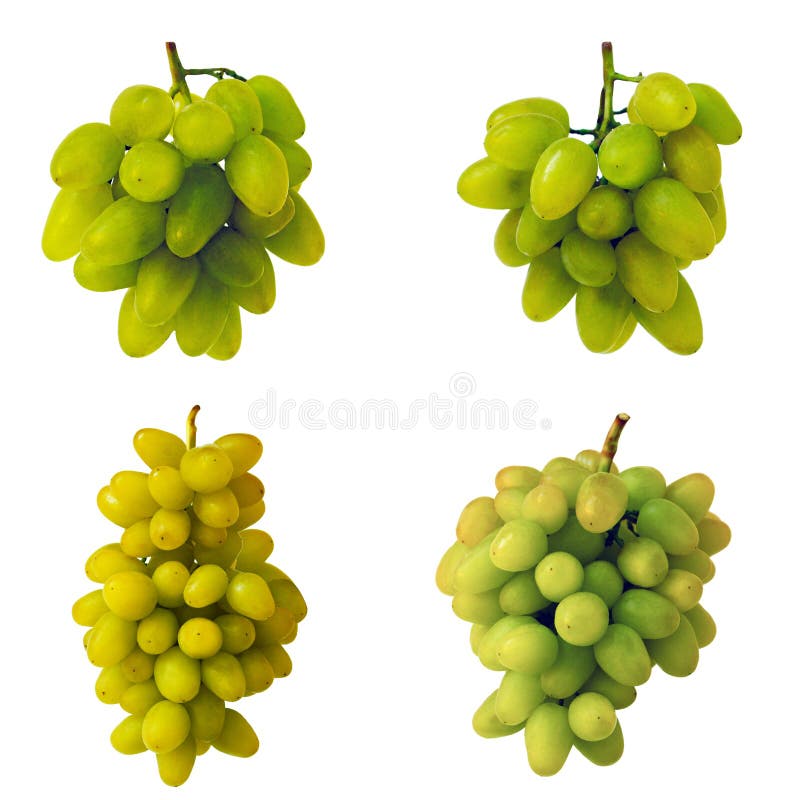 Muscat of Alexandria green grapes